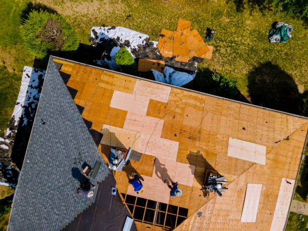 Quick and Trustworthy Emergency Roof Repair Services in Mountain View, HI