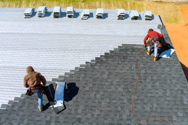 Best Roof Gutter Cleaning  in Mountain View, HI
