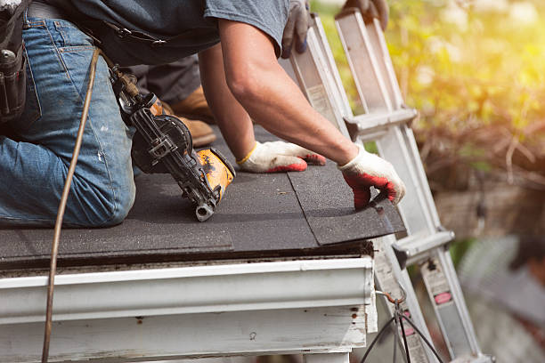 Best Roof Maintenance Services  in Mountain View, HI