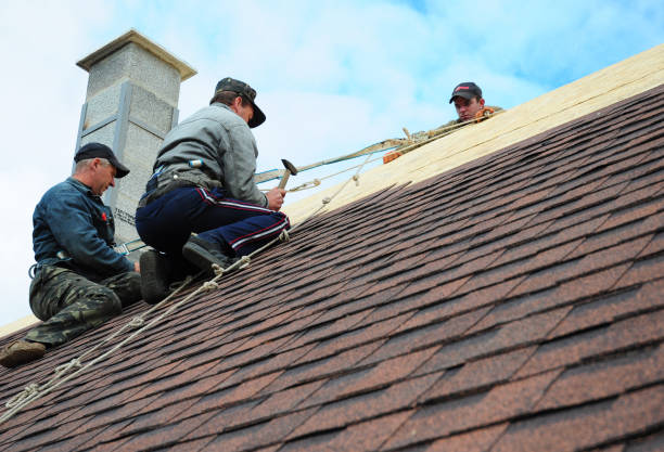 Quick and Trustworthy Emergency Roof Repair Services in Mountain View, HI